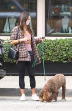 JORDANA BREWTSER Out with Her Dog in Brentwood 11/18/2021