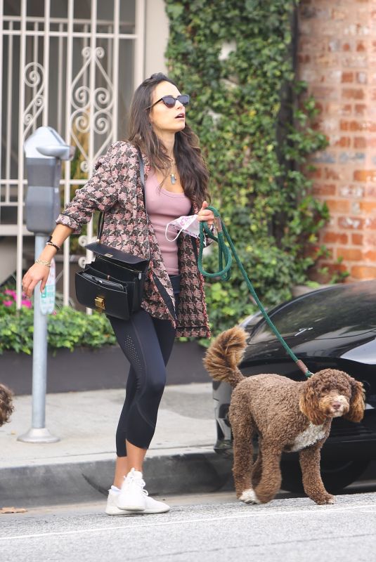 JORDANA BREWTSER Out with Her Dog in Brentwood 11/18/2021
