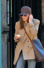 JULIANNE MOORE and Bart Freundlich Out in New York 11/18/2021