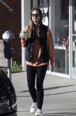 KATHERINE SCHWARZENEGGER Out for Iced Coffee at Alfred