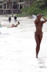 LAURA HARRIER in Bikini on the Beach in Mexico 11/16/2021