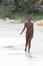 LAURA HARRIER in Bikini on the Beach in Mexico 11/16/2021