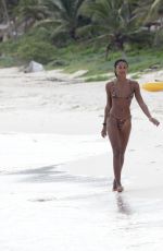 LAURA HARRIER in Bikini on the Beach in Mexico 11/16/2021