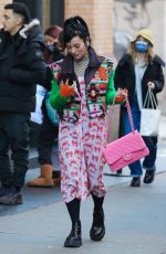 LILY ALLEN Out Shopping in New York 11/24/2021