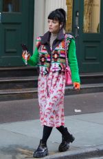 LILY ALLEN Out Shopping in New York 11/24/2021