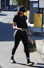 LORI HARVEY at Kreation Organic Juicery in Los Angeles 11/15/22021