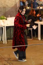 LUCYA HALE and MADELAINE PETSCH Out for Dinner at ABC Kitchen in New York 11/11/2001