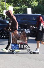 NESSA BARRETT Out Shopping for Groceries in West Hollywood 11/24/2021