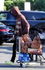 NESSA BARRETT Out Shopping for Groceries in West Hollywood 11/24/2021