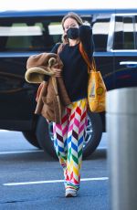 OLIVIA WILDE Arrives at JFK Airport in New York 10/31/2021