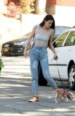 SCOUT WILLIS in Denim Out with Her Dog in Los Angeles 11/05/2021
