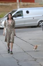 SCOUT WILLIS Out with Her Dog in Los Angeles 11/22/2021