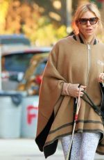 SIENNA MILLER Out with Her Dogs in New York 11/11/2021