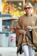 SIENNA MILLER Out with Her Dogs in New York 11/11/2021