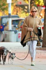 SIENNA MILLER Out with Her Dogs in New York 11/11/2021