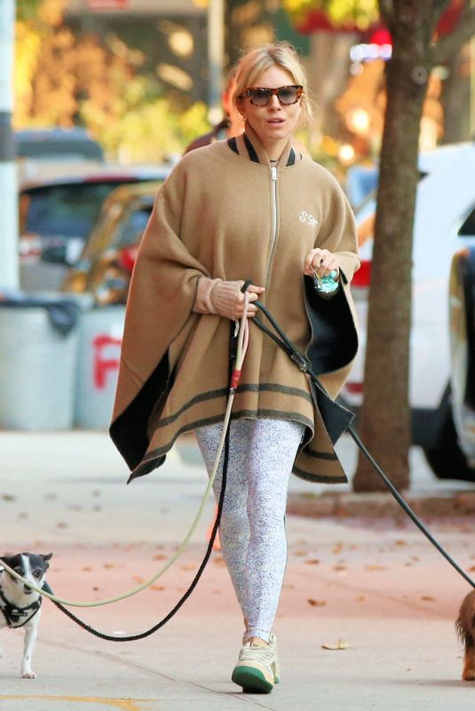 SIENNA MILLER Out with Her Dogs in New York 11/11/2021