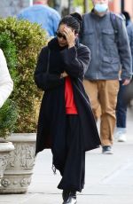 ZOE KRAVITZ Out and About in New York 11/05/2021