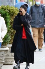 ZOE KRAVITZ Out and About in New York 11/05/2021