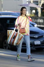 ALESSANDRA AMBROSIO Out Shopping at Last Resort Clothing Store in Santa Monica 12/19/2021