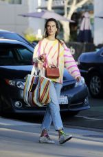 ALESSANDRA AMBROSIO Out Shopping at Last Resort Clothing Store in Santa Monica 12/19/2021