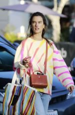 ALESSANDRA AMBROSIO Out Shopping at Last Resort Clothing Store in Santa Monica 12/19/2021