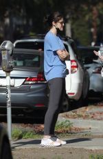 ALEXANDRA DADDARIO Out and About in Los Angeles 12/01/2021