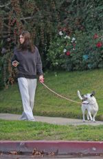 ALEXANDRA DADDARIO Out with Her Dog in Los Angeles 12/07/2021
