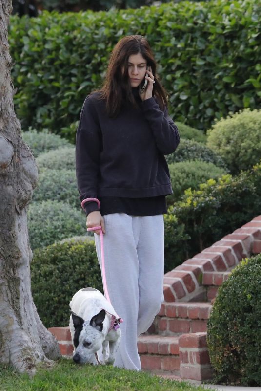 ALEXANDRA DADDARIO Out with Her Dog in Los Angeles 12/07/2021
