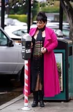 ALICE AMTER Out and About in Larchmont Village 12/30/2021