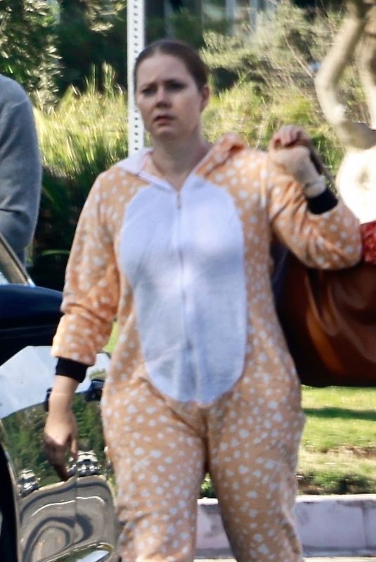 AMY ADAMS Arrives at Family