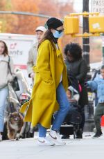 ANNE HATHAWAY Out and About in New York 11/30/2021