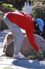 AUBREY PLAZA Out with Her Dogs in Los Feliz 12/19/2021
