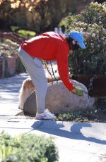 AUBREY PLAZA Out with Her Dogs in Los Feliz 12/19/2021