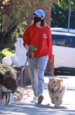 AUBREY PLAZA Out with Her Dogs in Los Feliz 12/19/2021
