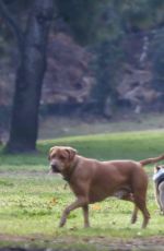 BECCA KUFRIN Out with Her Dogs at a Dog Park in Los Angeles 12/13/2021