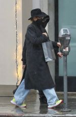 CAMERON DIAZ Out Shopping in Beverly Hills 12/29/2021
