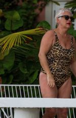 DENISE WELCH in Swimsuit in St. Peter Parish in Barbados 12/11/2021