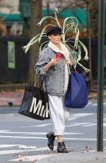 DIANE KRUGER Out Shopping in New York 12/15/2021