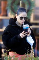 EIZA GONZALEZ Out Shopping at Pacific Palisades Village 12/13/2021