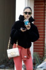 EIZA GONZALEZ Out Shopping at Pacific Palisades Village 12/13/2021