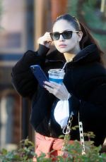 EIZA GONZALEZ Out Shopping at Pacific Palisades Village 12/13/2021