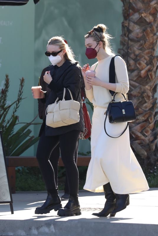 ELLE and DAKOTA FANNING Out for Smoothies in Studio City 12/20/2021