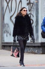 FAMKE JANSSEN Out with a Friend in New York 11/30/2021