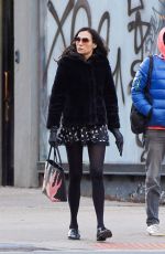 FAMKE JANSSEN Out with a Friend in New York 11/30/2021
