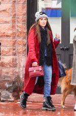 KYLE RICHARDS Out and About in Aspen 12/27/2021