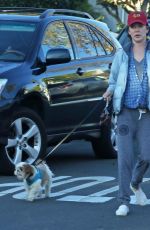 LARA FLYNN BOYLE and a Friend Out with Their Dogs in Laguna Beach 111/28/2021