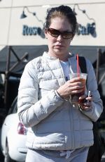 LARA FLYNN BOYLE and a Friend Out with Their Dogs in Laguna Beach 111/28/2021