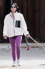 LUCY HALE Out with Her Dogs in Los Angeles 12/21/2021