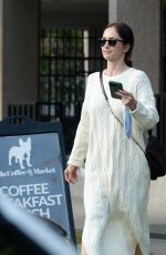 MINKA KELLY Out and About in Los Angeles 12/02/2021