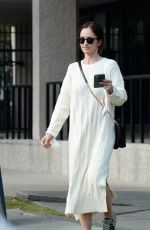 MINKA KELLY Out and About in Los Angeles 12/02/2021